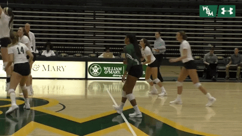 William & Mary Tribe Athletics GIF