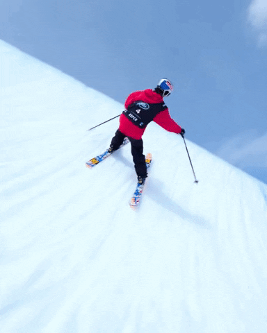 Team Usa Sport GIF by U.S. Ski & Snowboard Team Find & Share on GIPHY