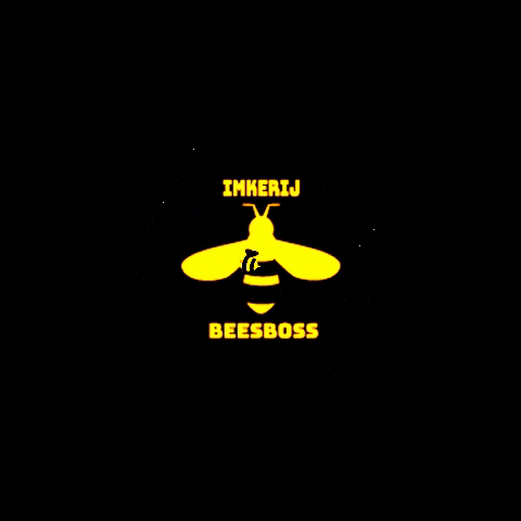 Beesboss GIF - Find & Share on GIPHY