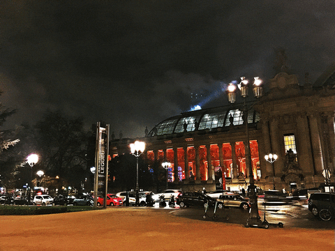 Grand Palais Grand Ciel