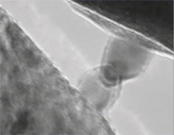 Physics Microscope GIF Find & Share on GIPHY