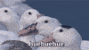 https://media.giphy.com/media/YwOFosmTM0Vag/giphy.gif