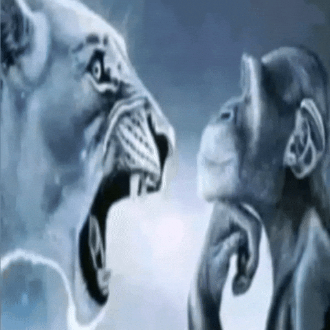 Ragebait Lion