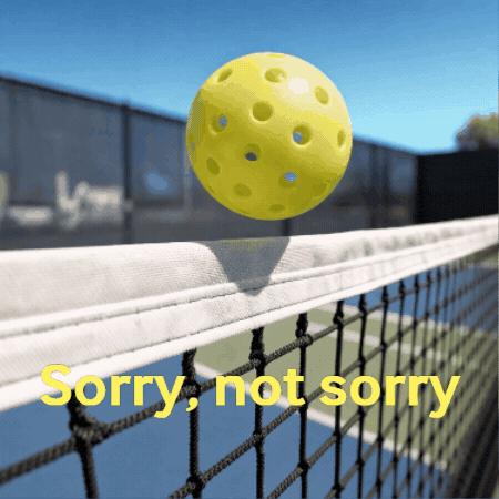 TOCO67 Pickleball GIF Z1rcktk9BtdvUf2fOc