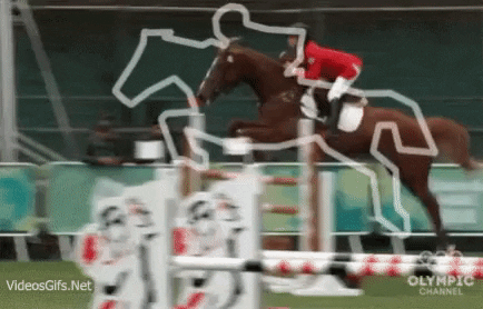 Jumping horse in gifgame gifs