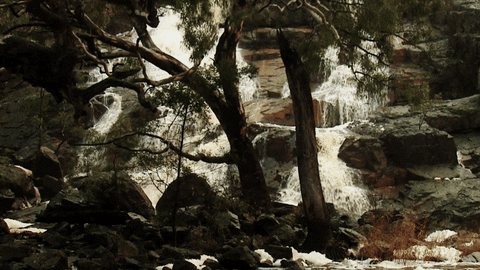 gif-nature-porn