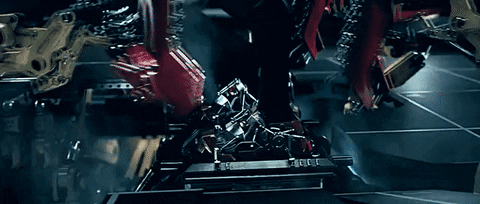 giphy.gif