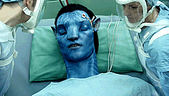 Los fans de la franquicia Avatar están contentos debido al lanzamiento del tráiler de la secuela del filme.-Blog Hola Telcel