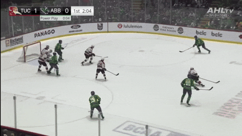 giphy.gif