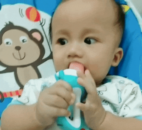 PopBaby™ Food Feeder Pacifier
