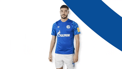 German Soccer Schalke 04 2019 20 GIF by FC Schalke 04 ...