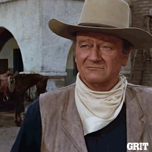Old West Reaction GIF by GritTV - Find & Share on GIPHY