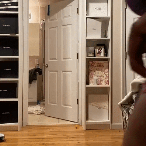 giphy.gif