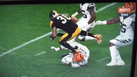 giphy.gif