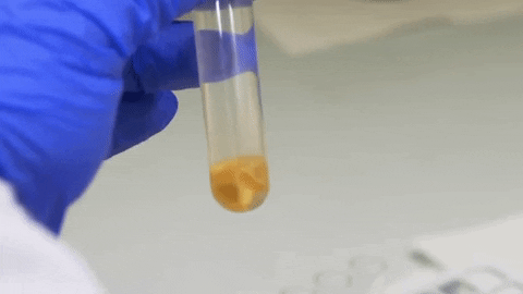 GIF of a bone sample being analysed in a laboratory