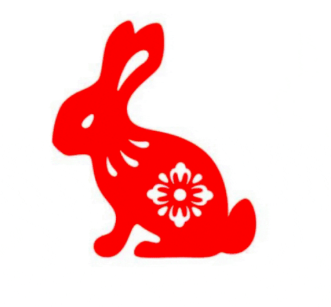 Animated GIF - Find & Share on GIPHY