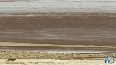 Death Valley GIFs - Find & Share on GIPHY