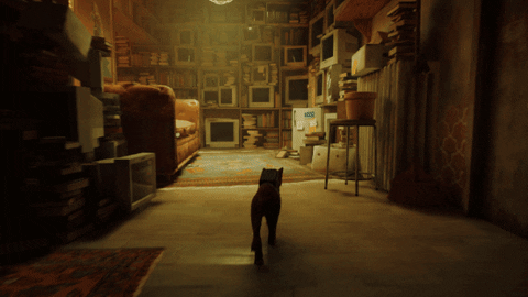 Stray es el juego donde puedes ser un gato y explorar un mundo plagado por androides y luces de neón.- Blog Hola Telcel