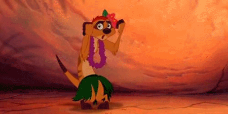 Timon And Pumba GIFs - Find & Share on GIPHY