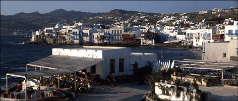 Rentals GIF - Find & Share on GIPHY