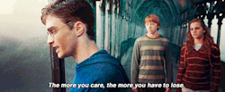 Order Of The Phoenix GIF - Find & Share on GIPHY
