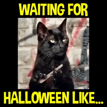 10 Halloween Fun Facts you must Know- No Black Cats October