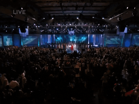 giphy.gif