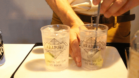 Conheça o Arapuru Gin, Primeiro London Dry Gin Brasileiro