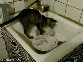 Dish Washing GIFs - Find & Share on GIPHY