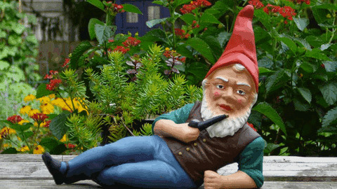 Garden Gnome Gifs Get The Best Gif On Giphy