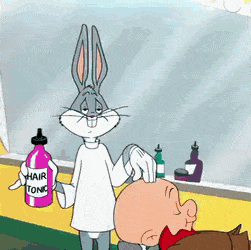 Looney tunes in funny gifs