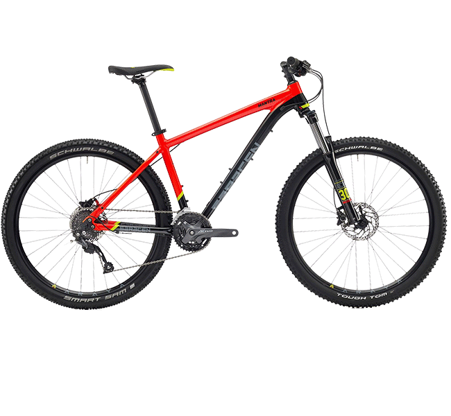 Saracen