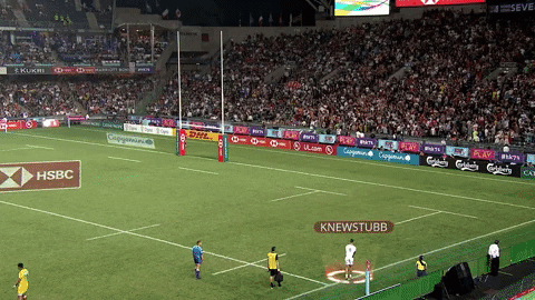 Awesome New Zealand GIF by World Rugby