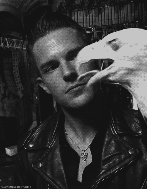 Brandon Flowers GIF Find & Share on GIPHY