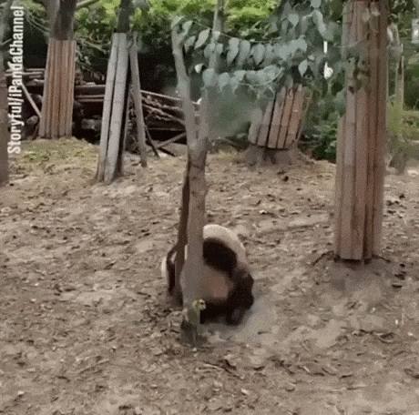 Dropped in to say hi in funny gifs
