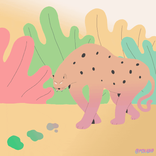 leopardgif