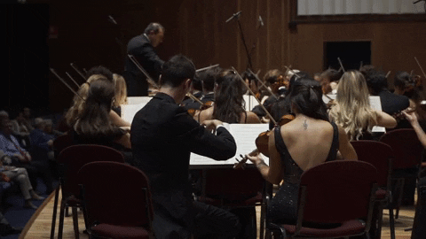 A conductor directs an orchestra as a metaphor of how Product OKRs can do the same for the CPO  
