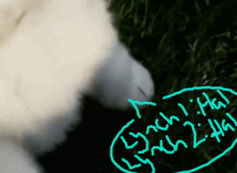 giphy.gif