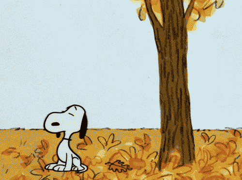Snoopy bawi się liśćmi spadającymi z drzewa.