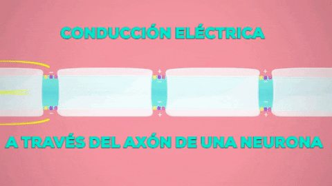 Corriente Electrica GIF - Find & Share on GIPHY