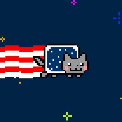 Image result for gif cat fourth of july
