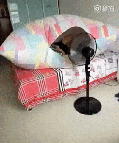 Innovation at finest in funny gifs