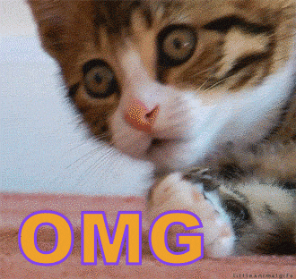 oh my god omg gif by swerk - find & share on giphy