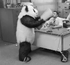 panda breaking keyboard animation