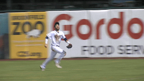 Baseball Fail GIF by Kane County Cougars