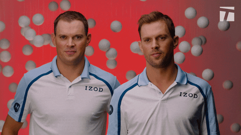 giphy.com famous twins