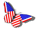 USA butterfly