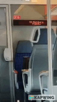 giphy.gif