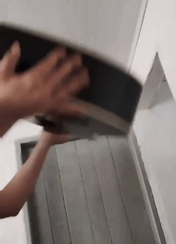 giphy.gif