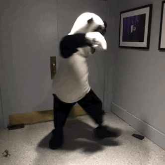 Hashtag The Panda GIFs - Find & Share on GIPHY